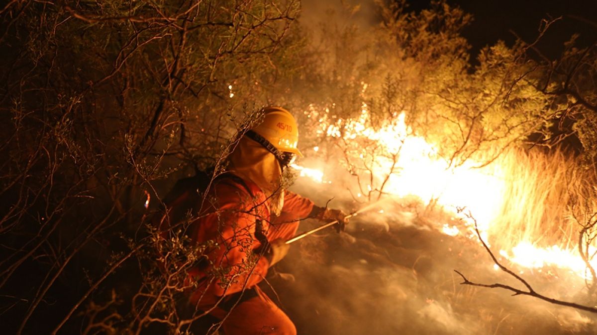 El fuego afectó este año a más de un millón de hectáreas | VA CON FIRMA. Un plus sobre la información.