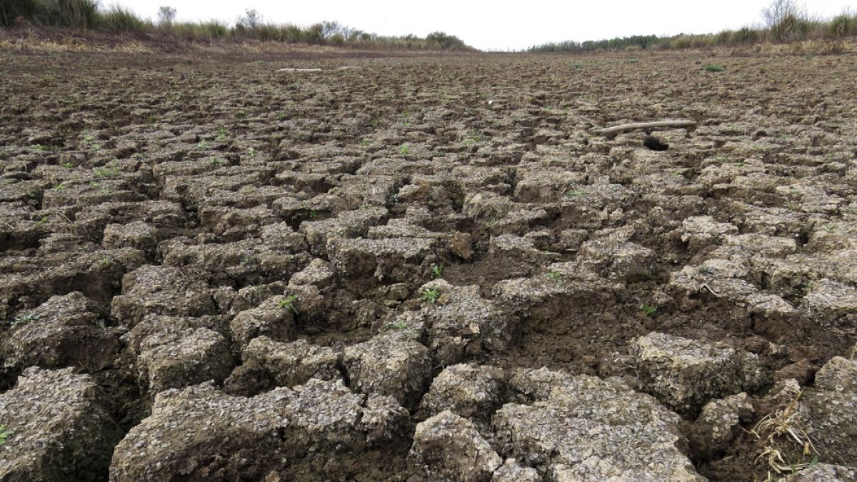 Sequías y precipitaciones extremas, un flagelo en América del Sur | VA CON FIRMA. Un plus sobre la información.