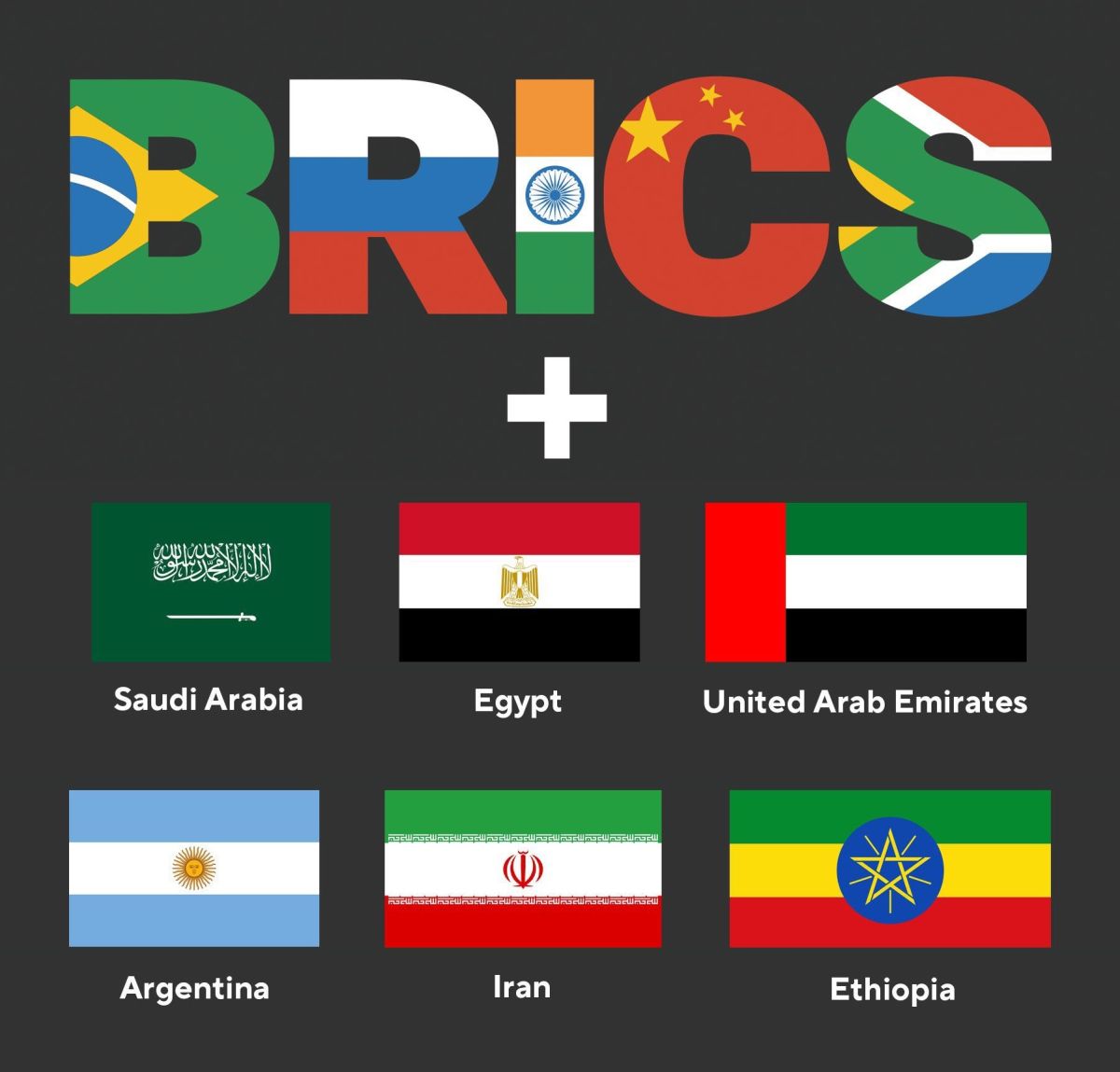 Los BRICS abren la puerta a la Argentina | VA CON FIRMA. Un plus sobre la información.