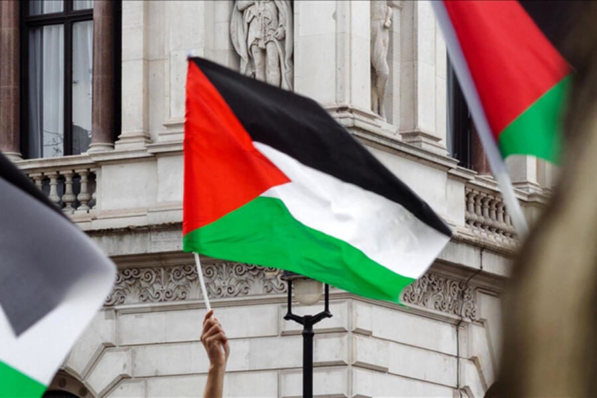 ¿Palestina o Argentina? | VA CON FIRMA. Un plus sobre la información.