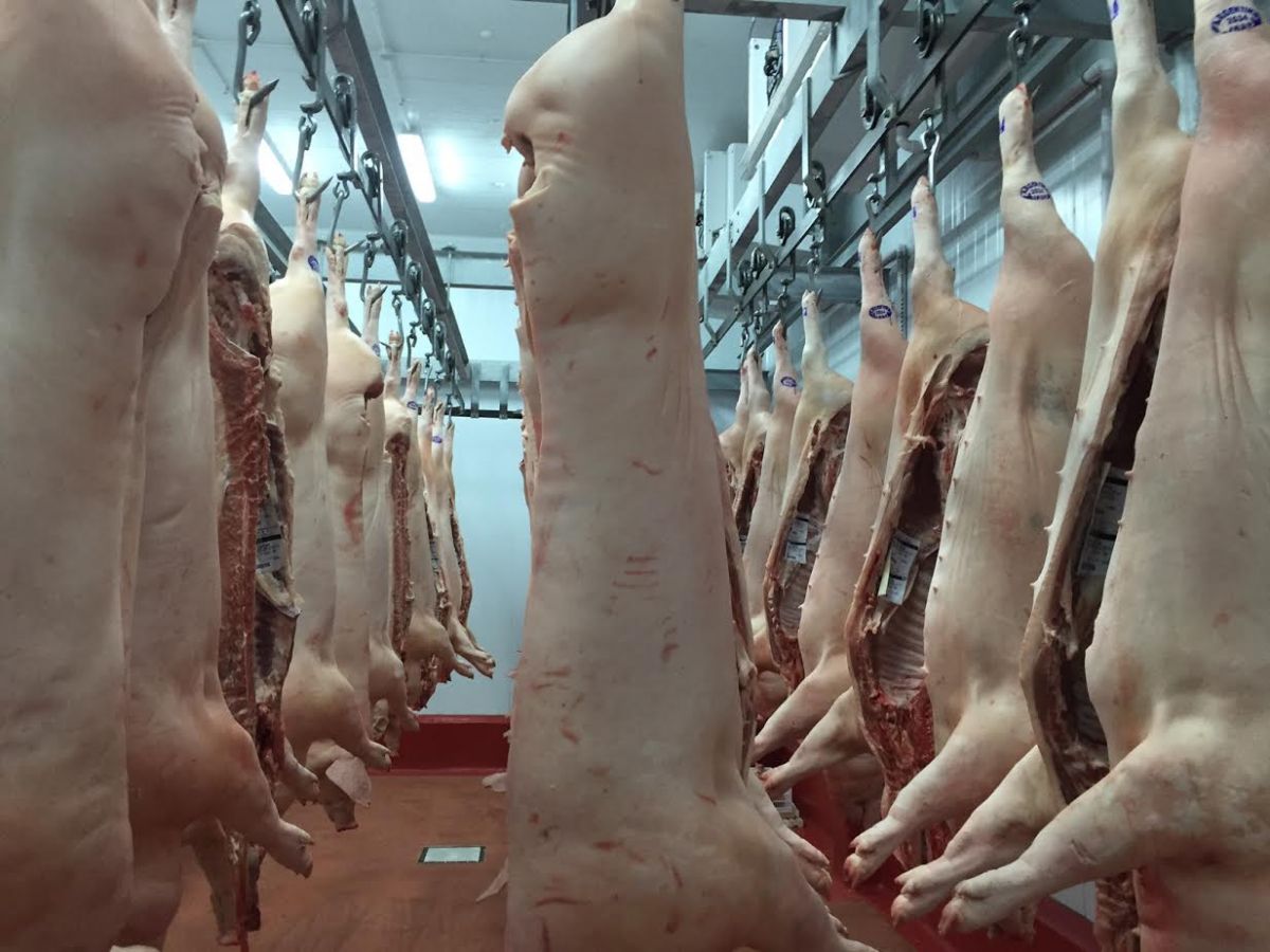El negocio de la carne y la capacidad de lobby | VA CON FIRMA. Un plus sobre la información.